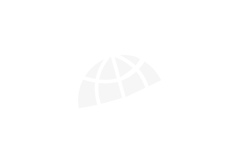 RD Webshops B.V. | Premium WordPress Websites & Maatwerk Oplossingen